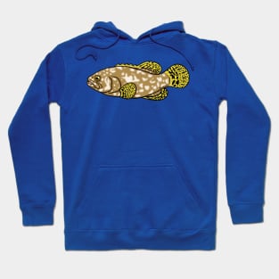 Queensland Grouper Hoodie